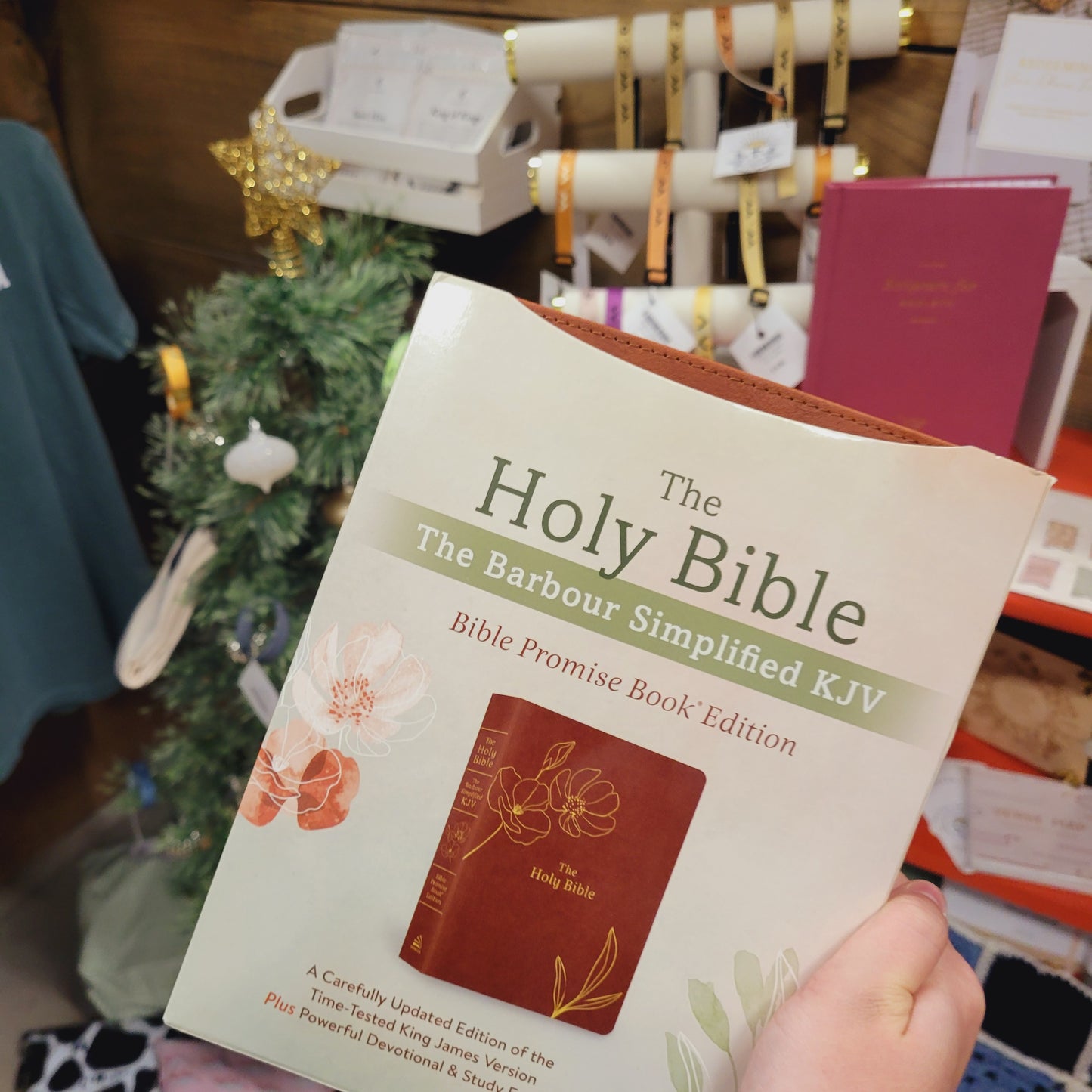 Brown Bible